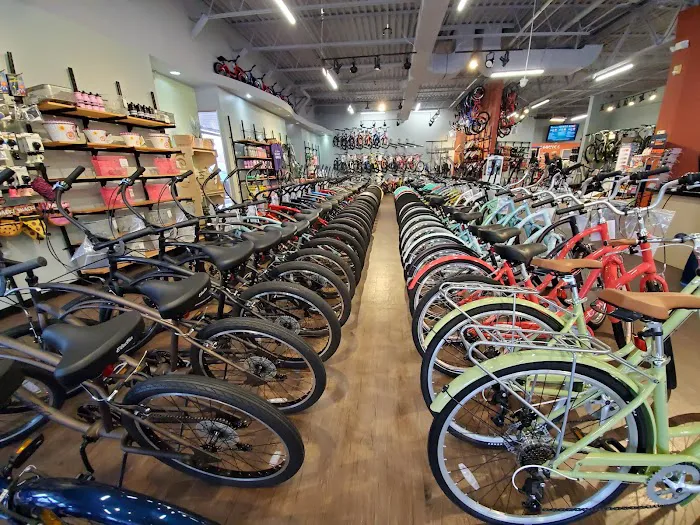 Conte's Bike Shop Picture 6