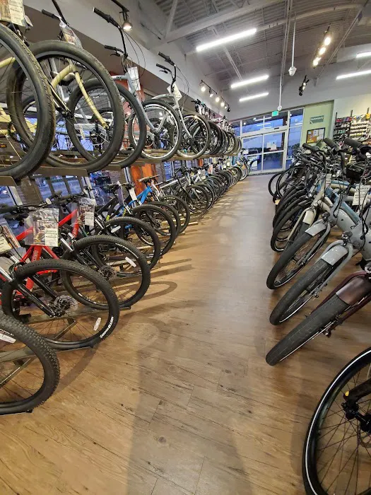 Conte's Bike Shop Picture 10