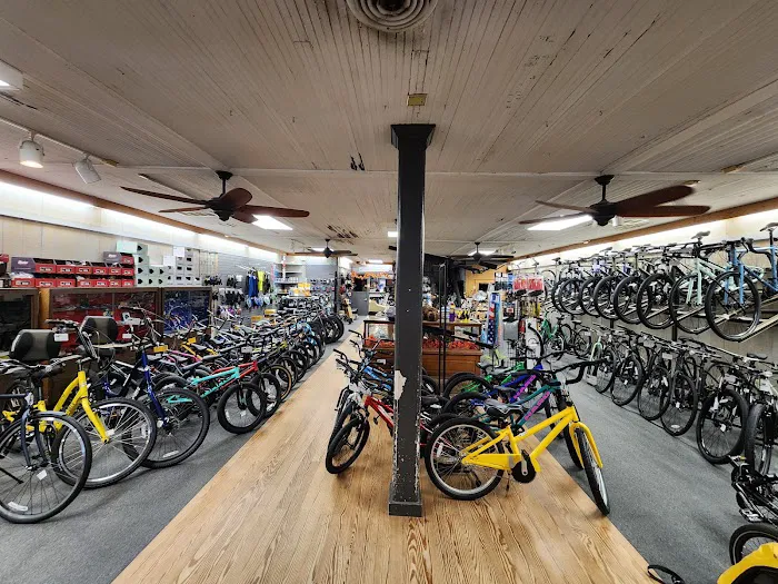 Great Bridge Cyclery Inc Picture 3