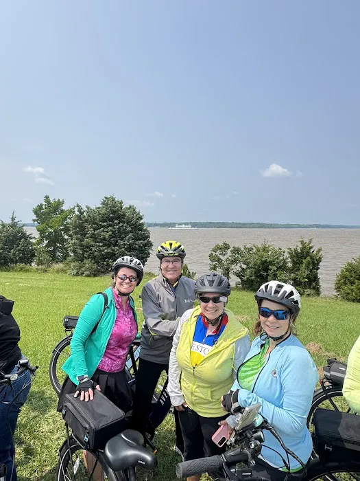 E-Bike Alley - Norfolk Picture 6