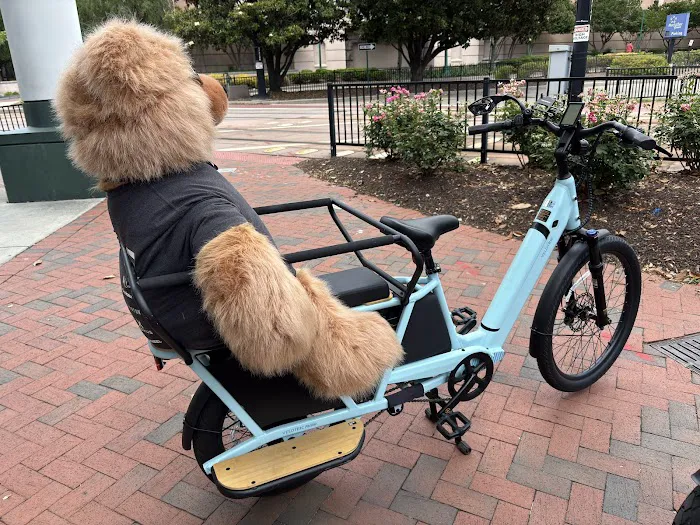 E-Bike Alley - Norfolk Picture 4