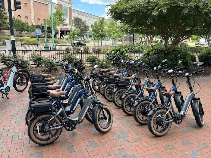 E-Bike Alley - Norfolk Picture 8