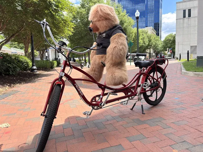 E-Bike Alley - Norfolk Picture 10