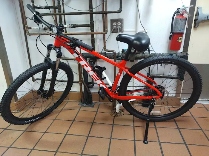 East Coast Bicycles Picture 2