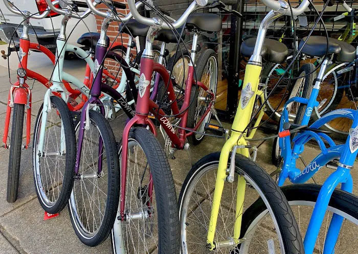 East Coast Bicycles Picture 6