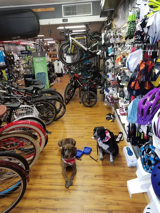 East Coast Bicycles Picture 8