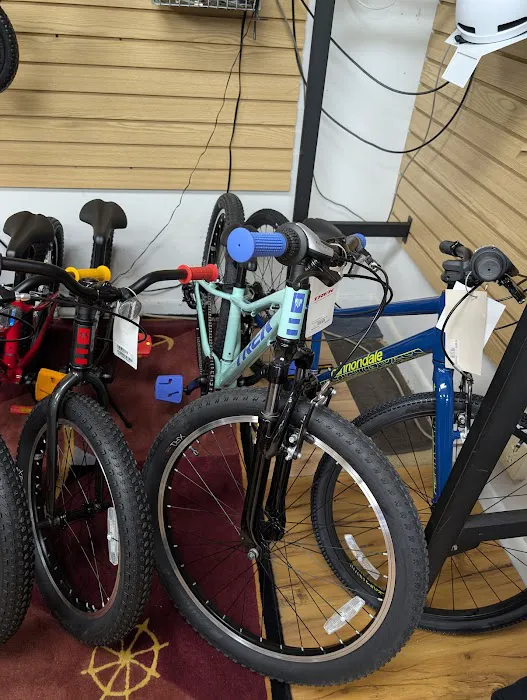 East Coast Bicycles Picture 9