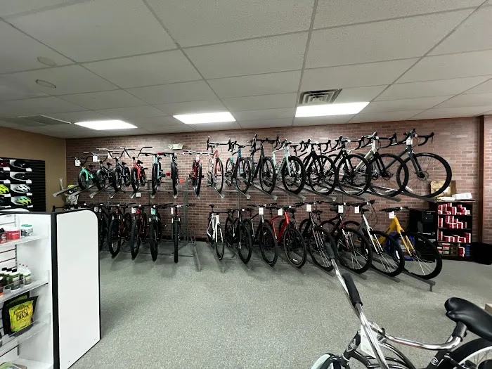 Pedal! Bicycle Co. Picture 5