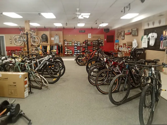 Village Bicycles Picture 3