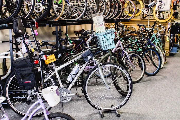 Freewheel Bicycle Shop Picture 6