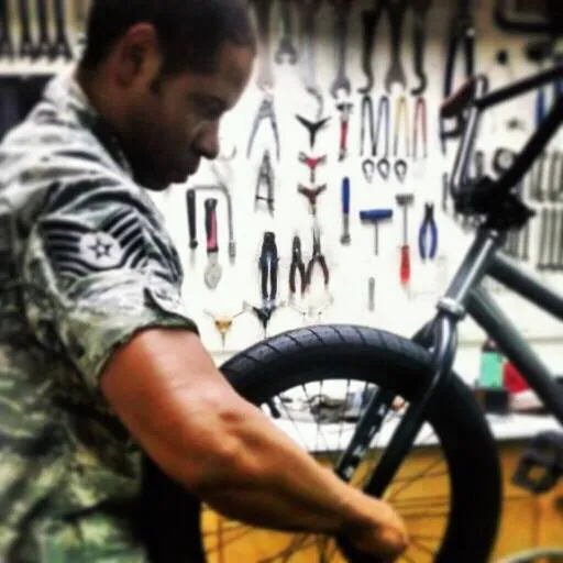 Freewheel Bicycle Shop Picture 3