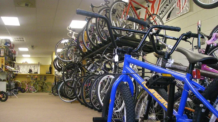 Freewheel Bicycle Shop Picture 10