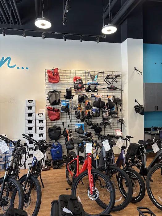 E-Bike Alley Picture 3