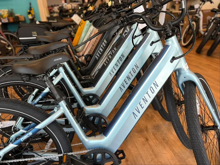 E-Bike Alley Picture 1