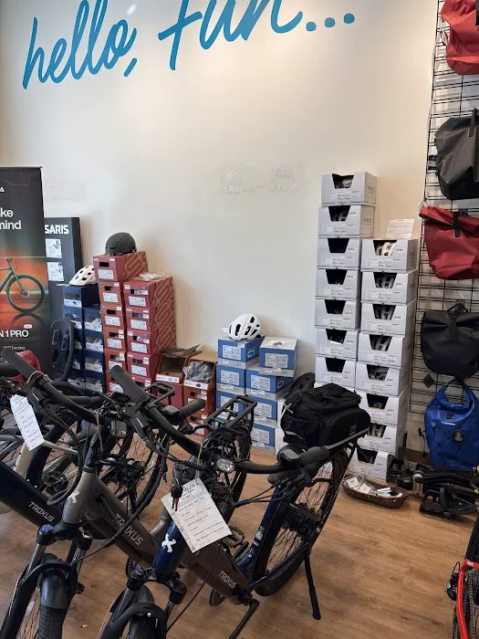 E-Bike Alley Picture 6