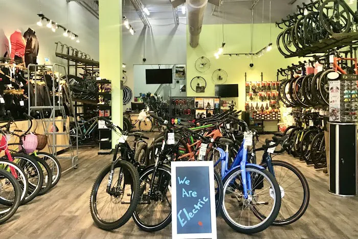 Conte's Bike Shop Picture 3