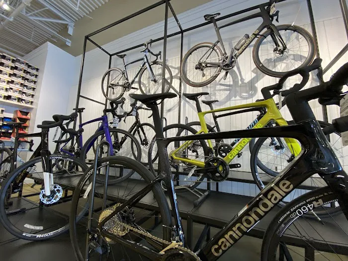 Conte's Bike Shop Picture 7