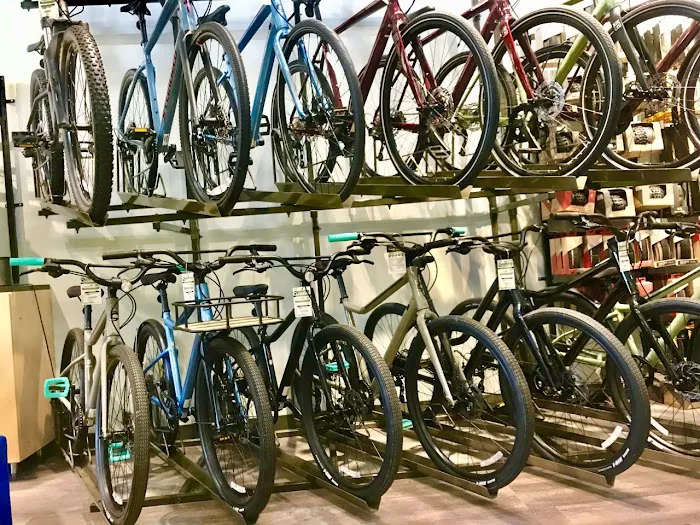 Conte's Bike Shop Picture 1