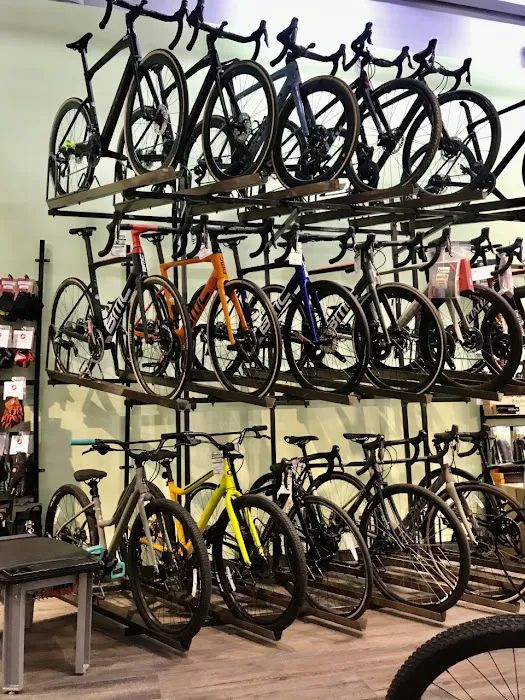 Conte's Bike Shop Picture 5