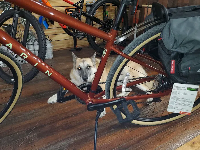 West Bottoms Bicycles Picture 4