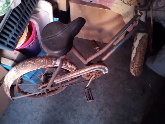 Onestar Bicycles Picture 1