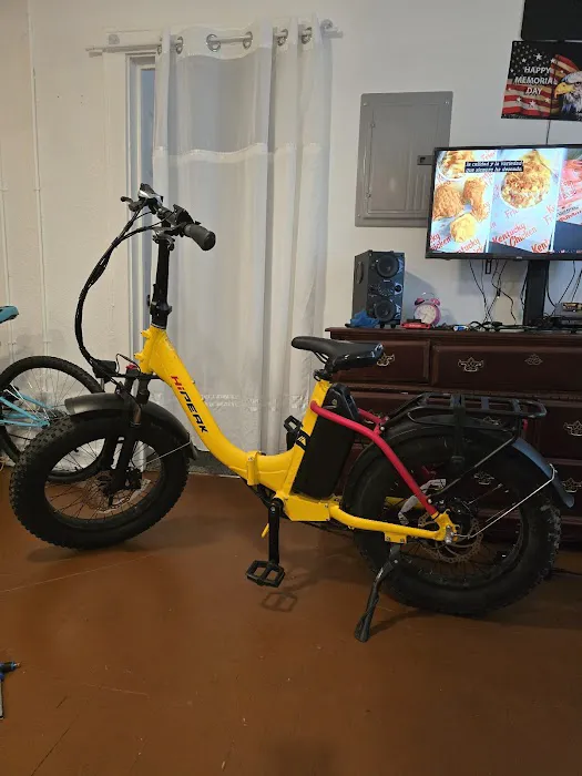 E-Bike KC Picture 3