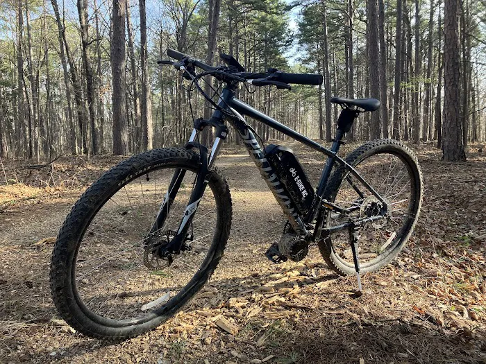 E-Bike KC Picture 4