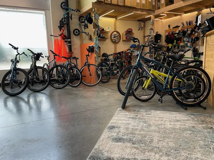 Bicycle Depot Kansas City Picture 10