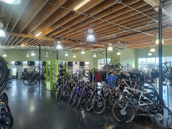 Cycle City Picture 5
