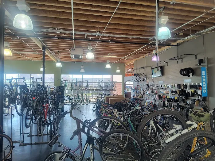 Cycle City Picture 3