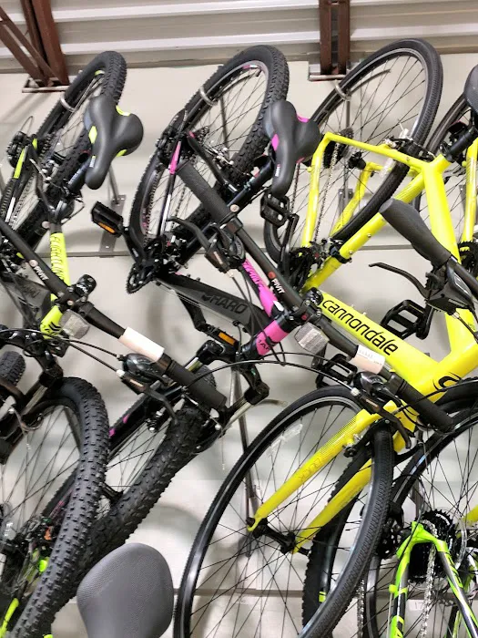 Bike America Picture 2