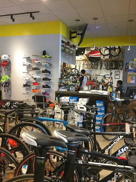 Elite Cycling Picture 1