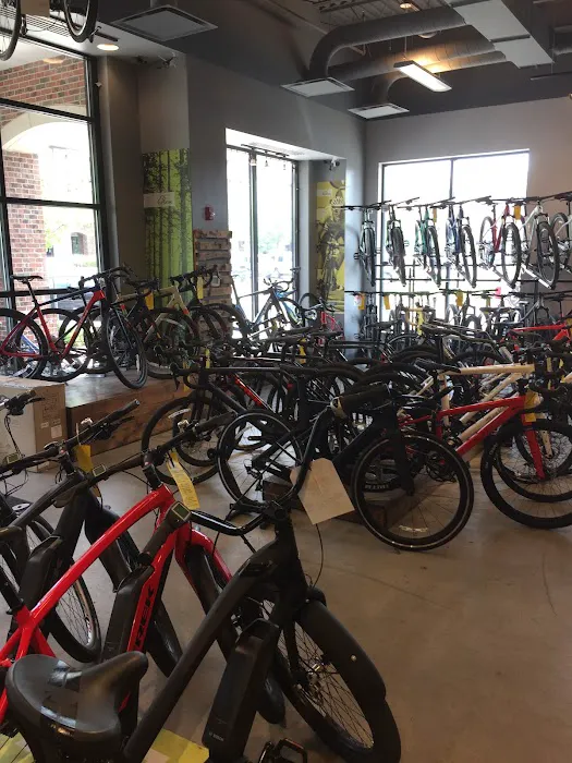 Elite Cycling Picture 3