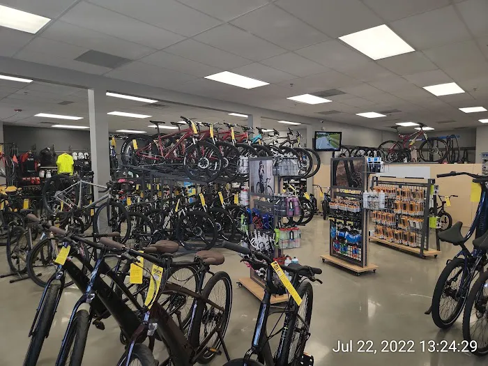Bike Stop - Martin City Picture 2