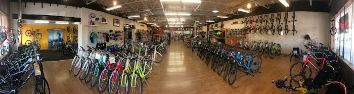 Bike Stop Bicycle Store Picture 6