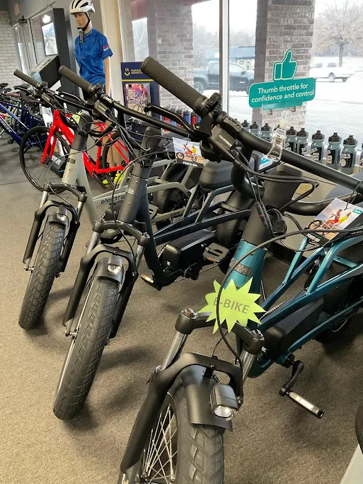Dave's Bike Shop Picture 7