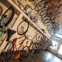 On Your Left Cycles ico