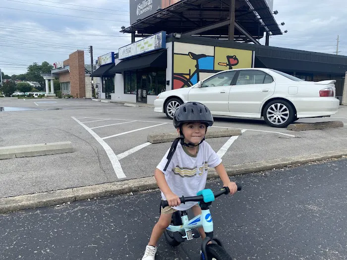 Middle of Town Cycling Picture 2