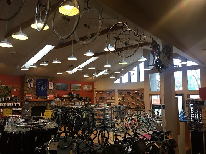 Scheller's Fitness & Cycling - St. Matthews Picture 6