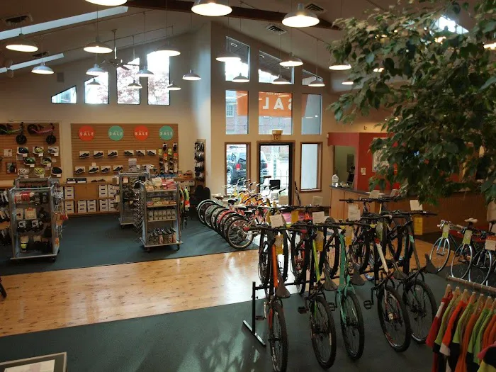 Scheller's Fitness & Cycling - St. Matthews Picture 9