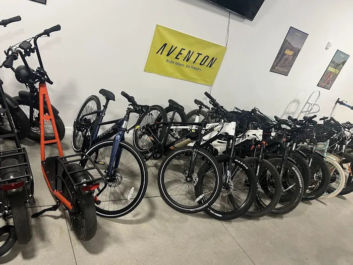 Epic E-Bike Adventures-Fremont St Picture 4