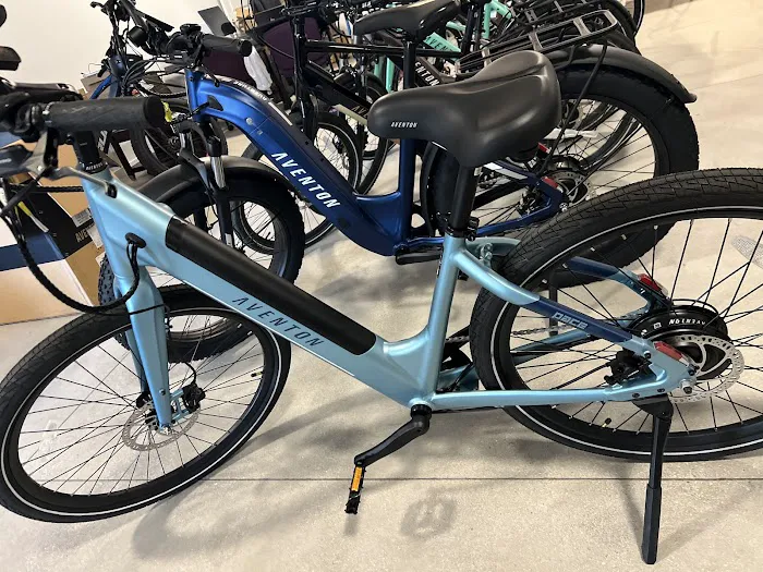 Epic E-Bike Adventures-Fremont St Picture 8