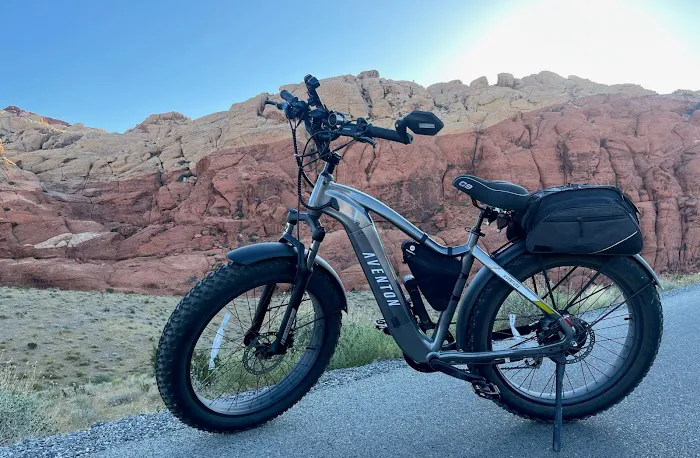 Epic E-Bike Adventures-Fremont St Picture 10