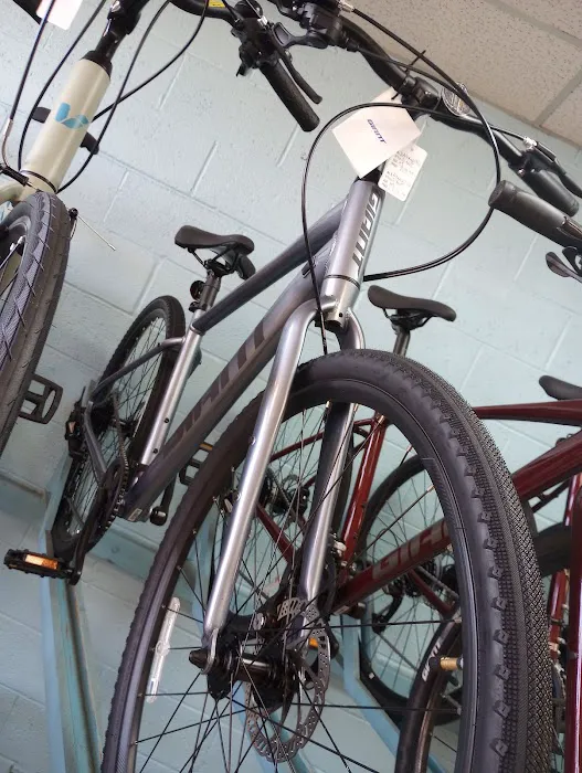 Bike World Picture 8
