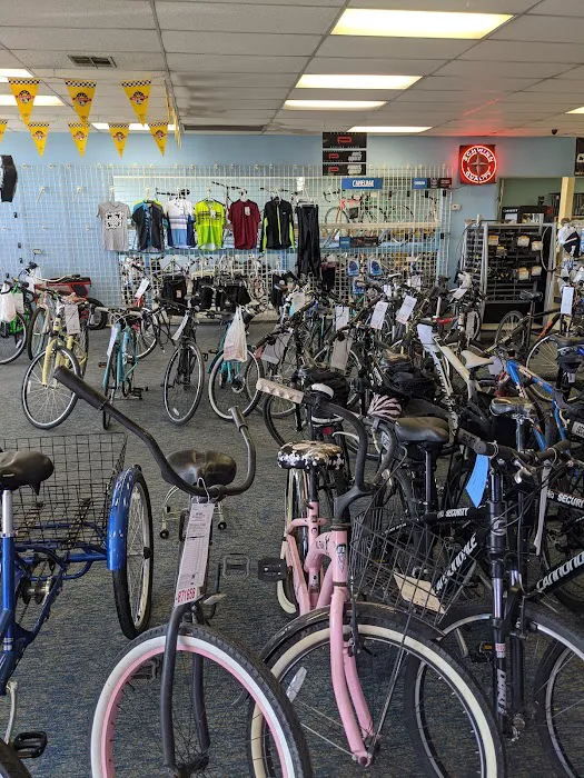 Bike World Picture 6