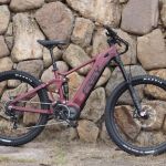 Frey EMTB