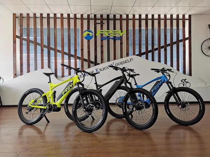 Frey EMTB Picture 4