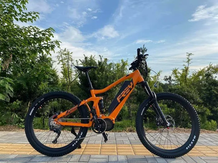 Frey EMTB Picture 7