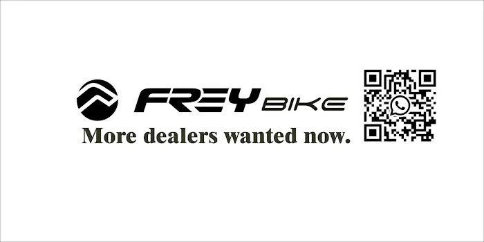 Frey EMTB Picture 10
