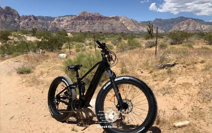 Ultech Ebike Picture 3
